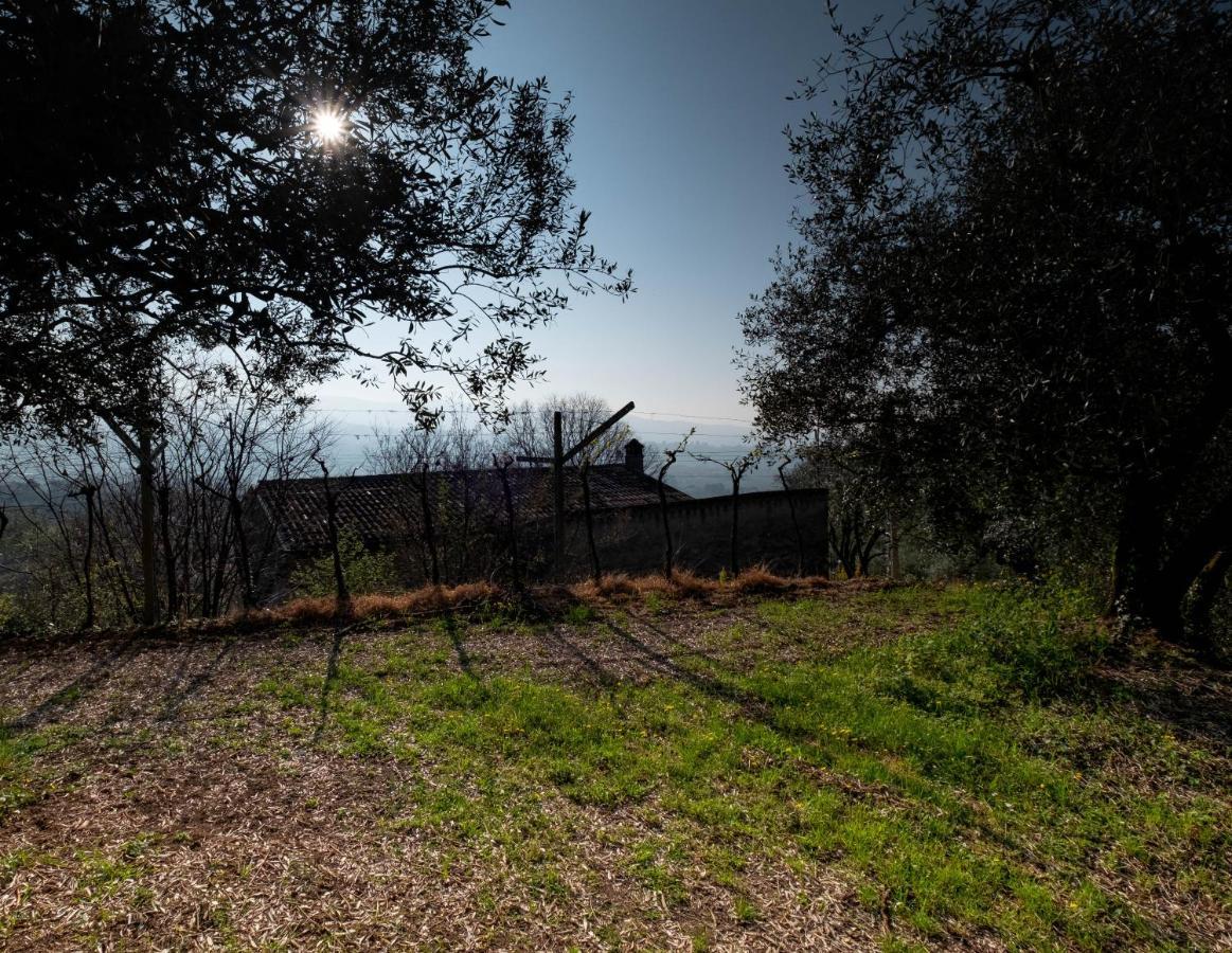 Villa Ca Del Vajo Valpolicella House Negrar Esterno foto