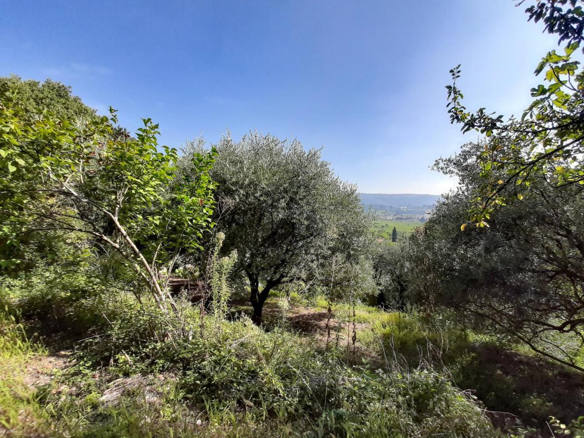 Villa Ca Del Vajo Valpolicella House Negrar Esterno foto