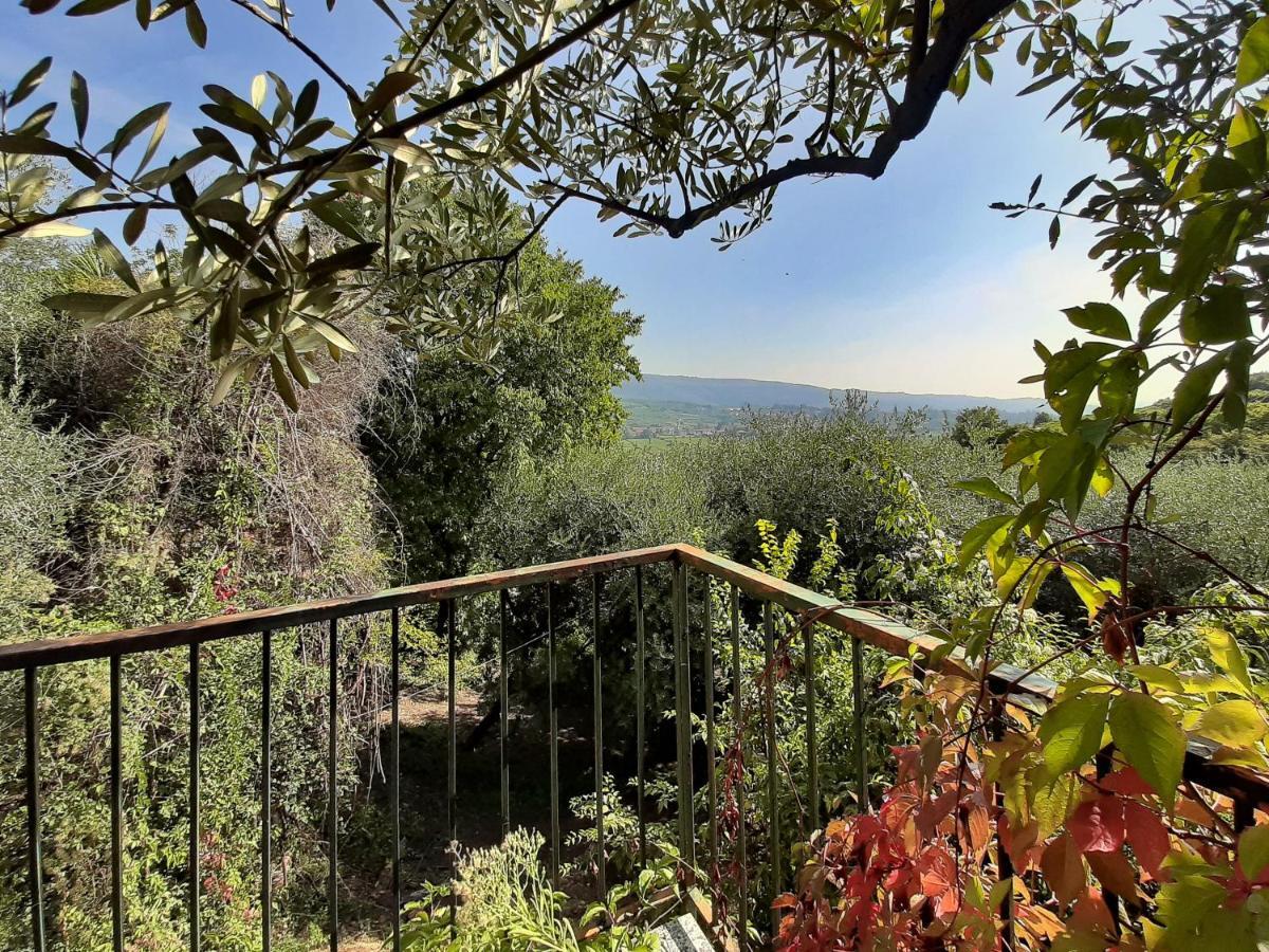 Villa Ca Del Vajo Valpolicella House Negrar Esterno foto