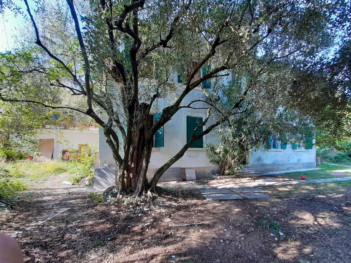Villa Ca Del Vajo Valpolicella House Negrar Esterno foto